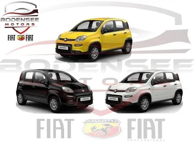 Fiat Fiat Panda Hybrid 1.0 GSE aktuelles Modell ! inkl. Citypaket ! im Auto Abo von LeasingTime