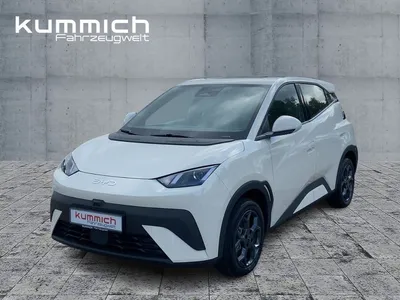 BYD BYD DOLPHIN SURF Boost im Auto Abo von Null-Leasing