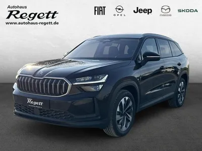 Skoda Skoda Kodiaq Selection im Leasing von LeasingMarkt.de