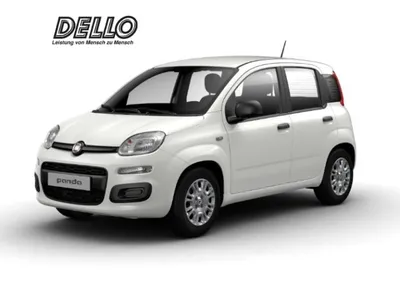 Fiat Fiat Panda Gewerbeleasing Klimaanlage Parkpilot ZV im Auto Abo von Mobile.de