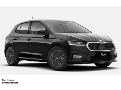 Skoda Skoda Fabia Tour 1.0 TSI  (Mettmann) im Auto Abo von LeasingMarkt.de