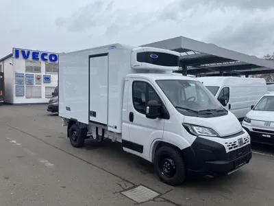 Fiat Fiat Ducato 🚀 Tiefkühl Koffer 140 PS 🚀 im Leasing von LeasingMarkt.de