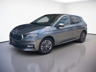 Skoda Skoda Fabia SELECTION 1.0TSI DSG LED.PANO.NAVI.SHZG im Auto Abo von LeasingMarkt.de