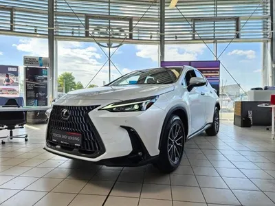 Lexus Lexus NX 450h+ NX (AZ20) im Auto Abo von LeasingMarkt.de