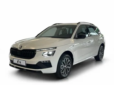 Skoda Skoda Kamiq 1.5 TSI Selection im Auto Abo von ViveLaCar