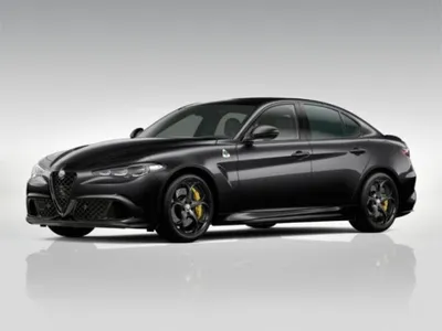 Alfa Romeo Alfa Romeo Giulia Quadrifoglio ORO ''LIMITED EDITION'' 521PS Navi im Leasing von LeasingMarkt.de