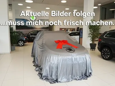 Skoda Skoda ENYAQ Enyaq 60 Wärmepumpe AHK NAVI LED DAB RFK PDC im Auto Abo von LeasingTime