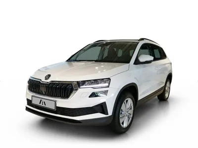 Skoda Skoda Karoq 1.5 TSI Selection im Auto Abo von ViveLaCar