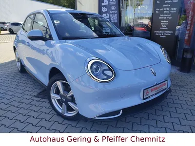 GWM GWM Ora 03 300 im Leasing von Null-Leasing