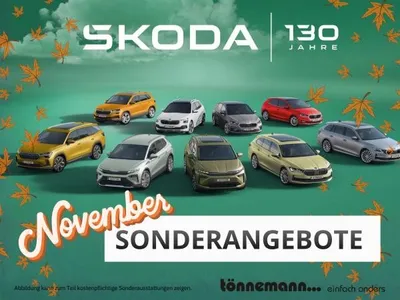 Skoda Skoda Fabia Tour 1.0 TSI DSG 🍂NOVEMBER-SONDERAKTION🍂 - DSG+WINTER-PAKET+LED SCHEINWERFER im Auto Abo von LeasingMarkt.de