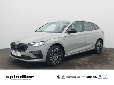 Skoda Skoda Scala Tour Black 1.0TSI DSG/ SmartLink, LED, RFK im Leasing von Null-Leasing
