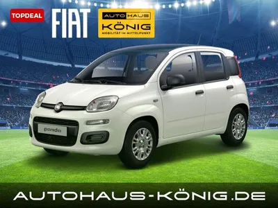 Fiat Fiat Panda Citypaket | ***Mit Einparkhilfe❗️*** | Reduzierte Bereitstellungskosten im Leasing von LeasingMarkt.de
