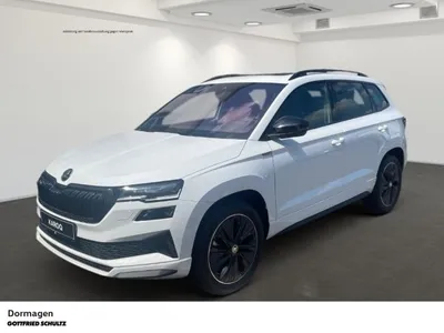 Skoda Skoda Karoq - SELECTION 1.5 TSI (Dormagen) im Auto Abo von LeasingTime