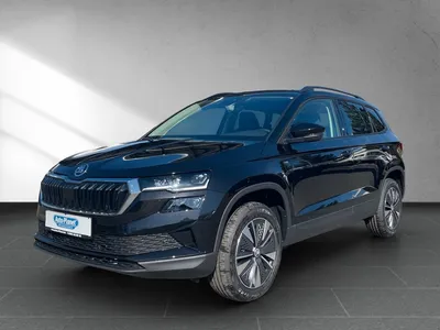 Skoda Skoda Karoq 1.5 TSI Tour *AHK*NAVI*SHZ*KESSY*MATRIX* im Leasing von Null-Leasing