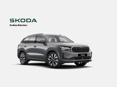 Skoda Skoda Kodiaq Selection im Leasing von LeasingMarkt.de
