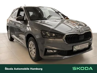Skoda Skoda Fabia Selection 1,0 MPI _LGE im Auto Abo von LeasingMarkt.de