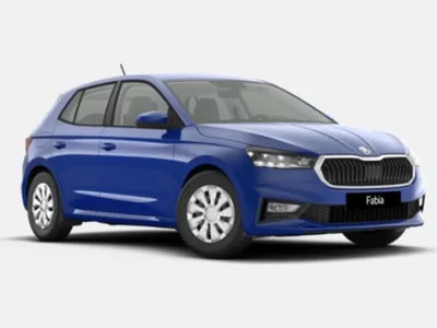 Skoda Skoda Fabia 1.0l MPI Selection | Gewerbe im Auto Abo von LeasingMarkt.de