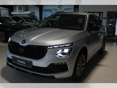 Skoda Skoda Kamiq Tour 1,0 TSI DSG Matrix AHK ACC R. Kamera im Auto Abo von LeasingMarkt.de