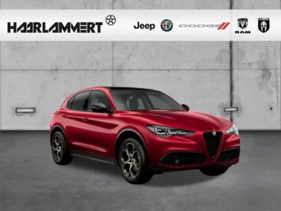 Alfa Romeo Alfa Romeo Stelvio Intensa Q4 2.0 PANORAMA+PDC+KAMERA+CARPLAY+SHZ im Leasing von LeasingMarkt.de