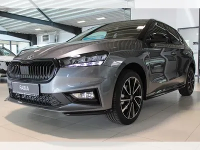 Skoda Skoda Fabia Monte Carlo 1,0 TSI DSG ACC PDC LED 17 Zoll im Auto Abo von LeasingMarkt.de