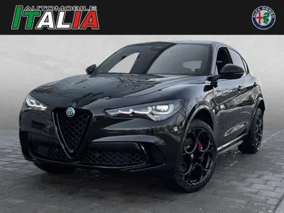 Alfa Romeo Alfa Romeo Stelvio Quadrifoglio 21 Zoll - sofort verfügbar! im Leasing von LeasingMarkt.de