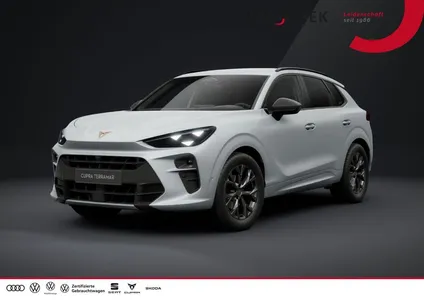 Cupra Cupra Terramar Sitzh Ambiente ACC Matrix HeadUp Smart im Leasing von Null-Leasing