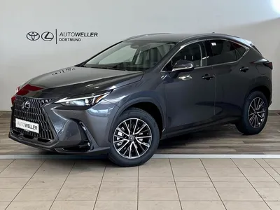 Lexus Lexus NX 450h F Sport Privat im Auto Abo von LeasingTime