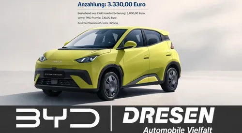 BYD BYD BYD Dolphin Surf Active I Navi I ISOFIX I Rückfahrkamera im Auto Abo von 9Drive