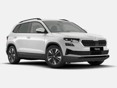 Skoda Skoda Karoq 1,5 TSI Tour DSG im Auto Abo von LeasingMarkt.de