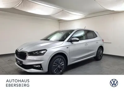 Skoda Skoda Fabia Drive TSI DSG LenkrHzg Winter connect im Auto Abo von LeasingMarkt.de