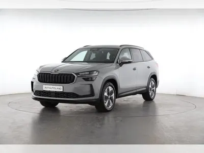 Skoda Skoda Kodiaq 2.0 TDI DSG 4x4 - SELECTION #NURHIER im Auto Abo von LeasingMarkt.de