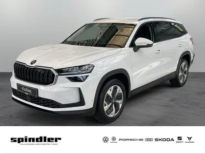 Skoda Skoda Kodiaq Selection 2,0 TDI 142 kW 7-Gang-DSG 4x4 im Leasing von Null-Leasing