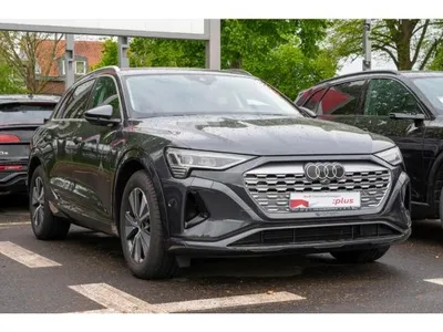 Audi Audi Q8 e-tron 55 quattro advanced im Auto Abo von LeasingMarkt.de