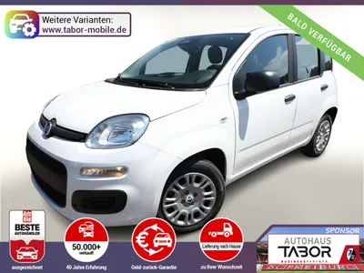 Fiat Fiat Panda ICON 5S PDC 5"-DAB DigC Temp LaneA S&S BT im Leasing von 9drive