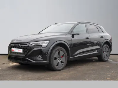 Audi AUDI Q8 e-tron 55 quattro advanced im Auto Abo von 9Drive