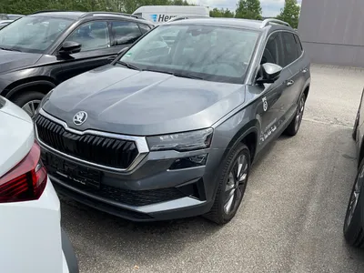 Skoda Skoda Karoq SELECTION 1.5TSI DSG MATRIX.AHK.WINTERP. im Auto Abo von Faaren