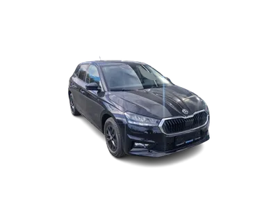 Skoda Skoda Fabia 1,0 130Jahre LED Sitzhzg Kamera Alu Klima im Auto Abo von Faaren