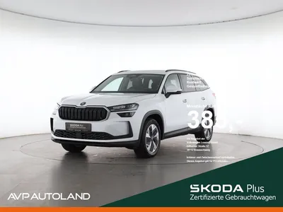 Skoda Skoda KODIAQ 2.0 TDI DSG 4x4 Selection | PANO | AHK | im Leasing von Null-Leasing